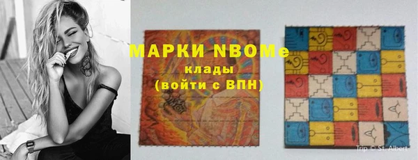 шишки Лабытнанги