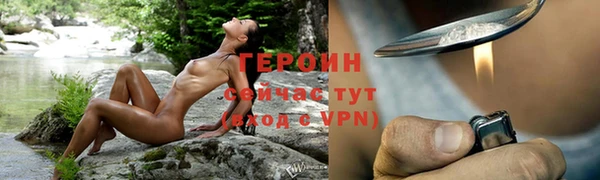 шишки Лабытнанги