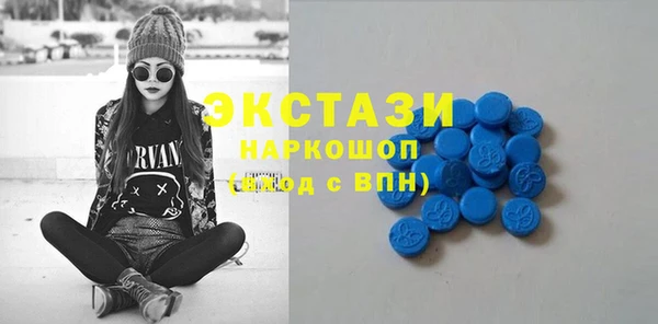 шишки Лабытнанги