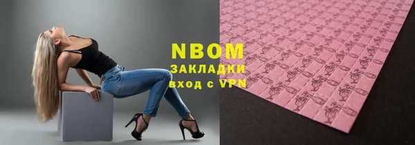 шишки Лабытнанги