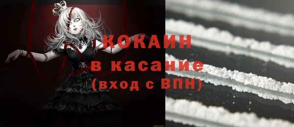 шишки Лабытнанги
