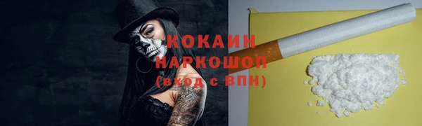 шишки Лабытнанги