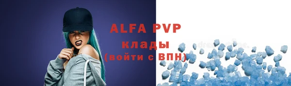 шишки Лабытнанги
