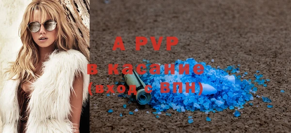 шишки Лабытнанги