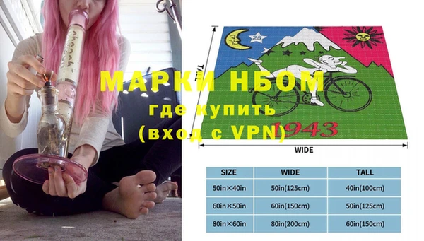 шишки Лабытнанги