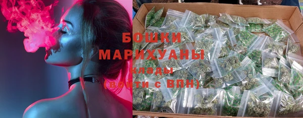 шишки Лабытнанги
