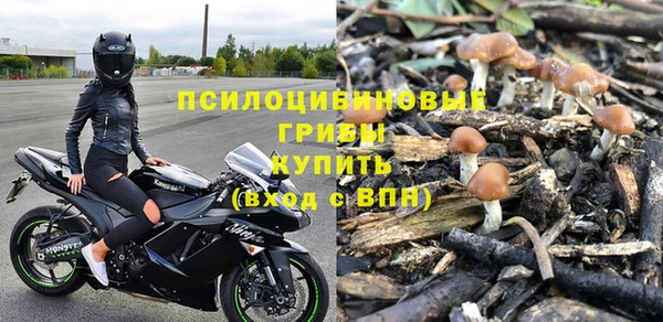 шишки Лабытнанги