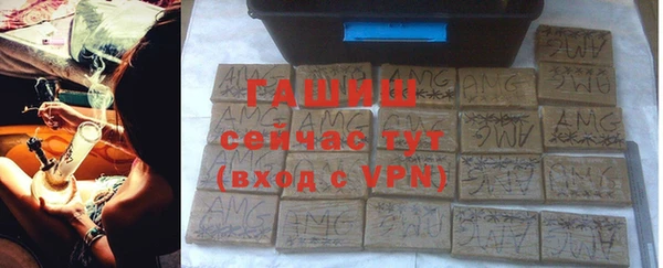 шишки Лабытнанги