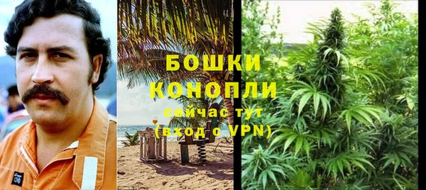 шишки Лабытнанги