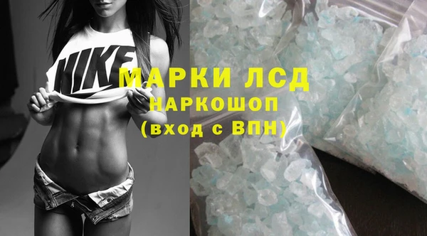 шишки Лабытнанги
