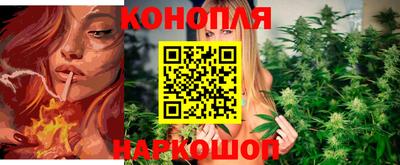 мдпв Нальчик
