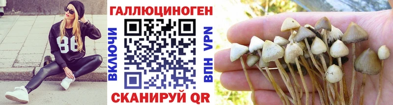 Галлюциногенные грибы GOLDEN TEACHER  Юрга 