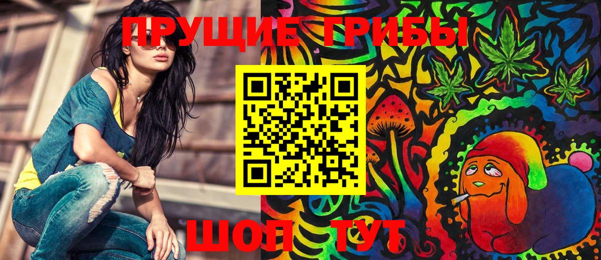 Юрга  Псилоцибиновые грибы Cubensis  Вход с VPN 